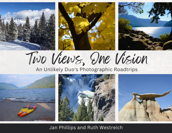Two Views, One Vision cover web